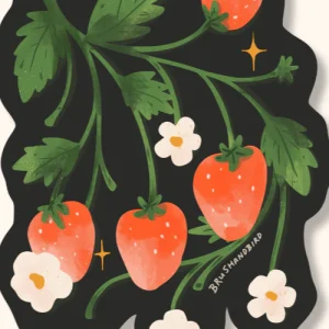 BRUSH & BIRD Autocollant Fraise des Bois
