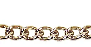 Curb Strap Chain Double Buckle  1/2"