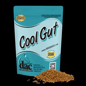 Cool Gut Feed Dac