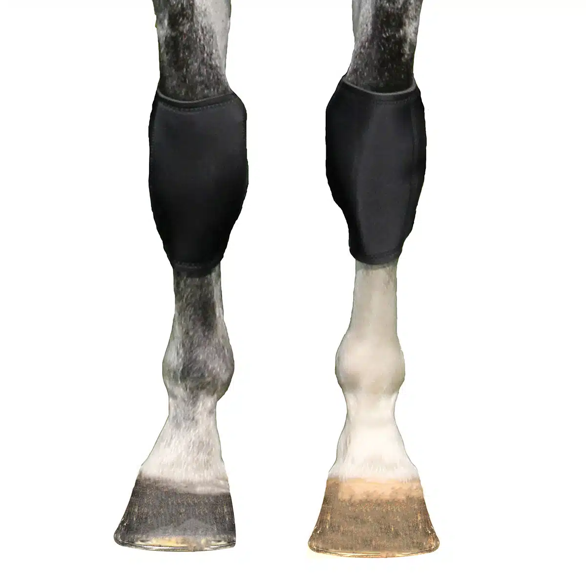 Knee Boots pair BOT – Image 2