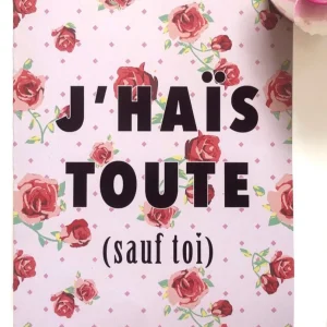 MERCI BONSOIR Carte - J'hais toute
