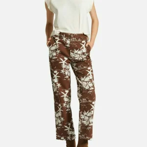 BRIXTON Pantalon Victory - Sepia