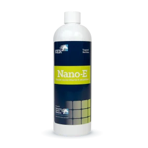 Nano E