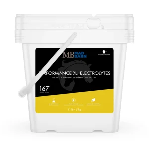 Performance XL: Electrolytes MadBarn